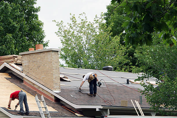 Roof Gutter Cleaning in Alamo, CA