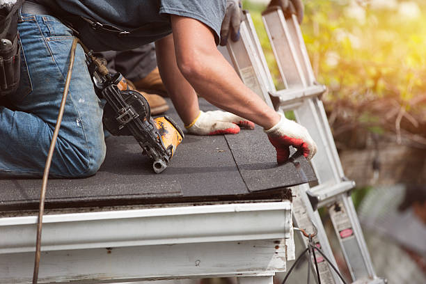 Best Roof Gutter Cleaning  in Alamo, CA